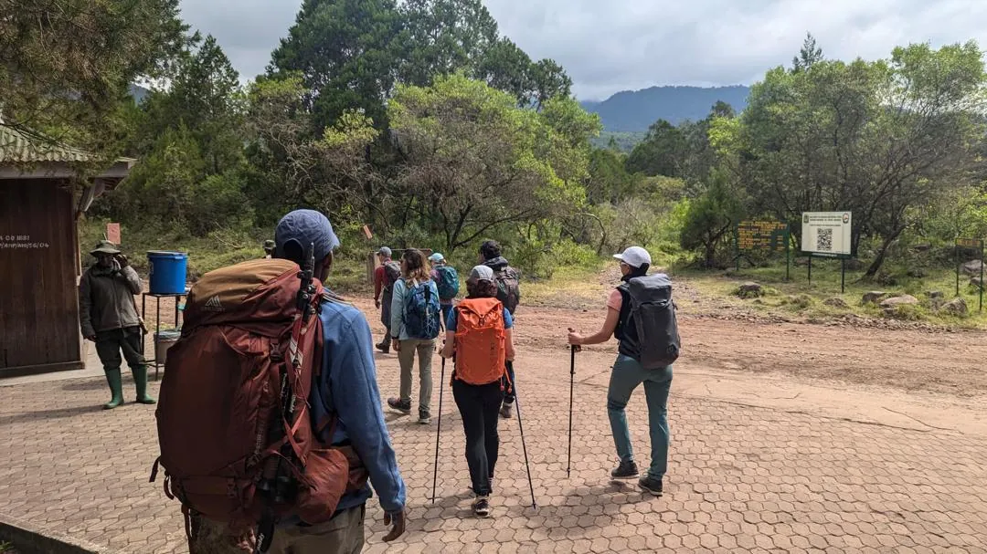 Mount Kilimanjaro trekking landscape